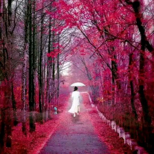 雨过彩虹，拒绝连赞