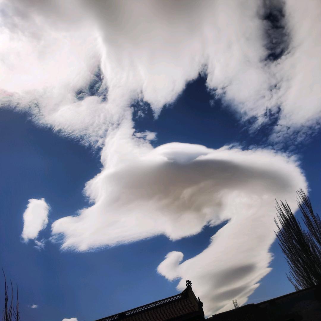 海棠依旧°（抱团取暖）