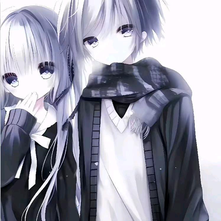 蝉
