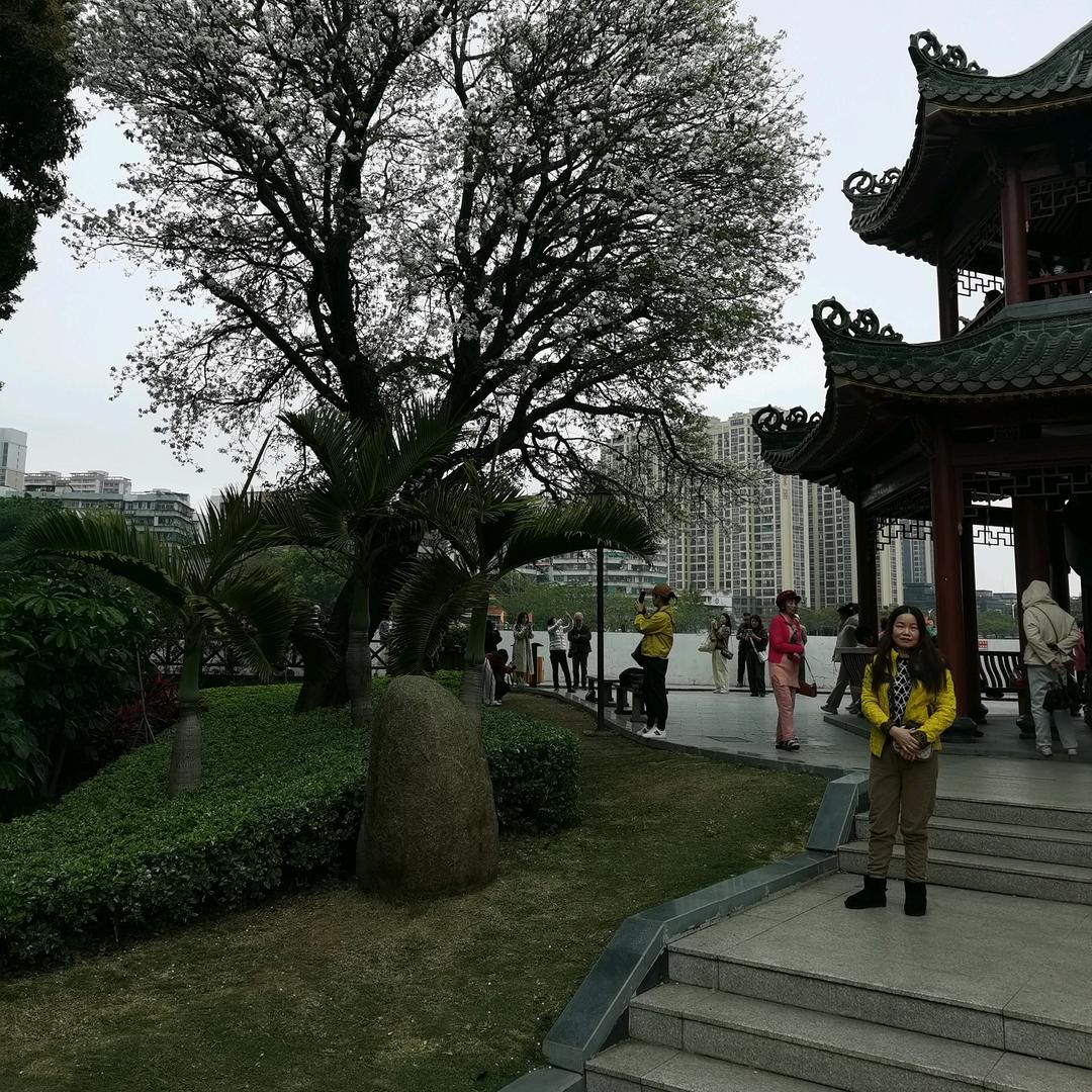 文文