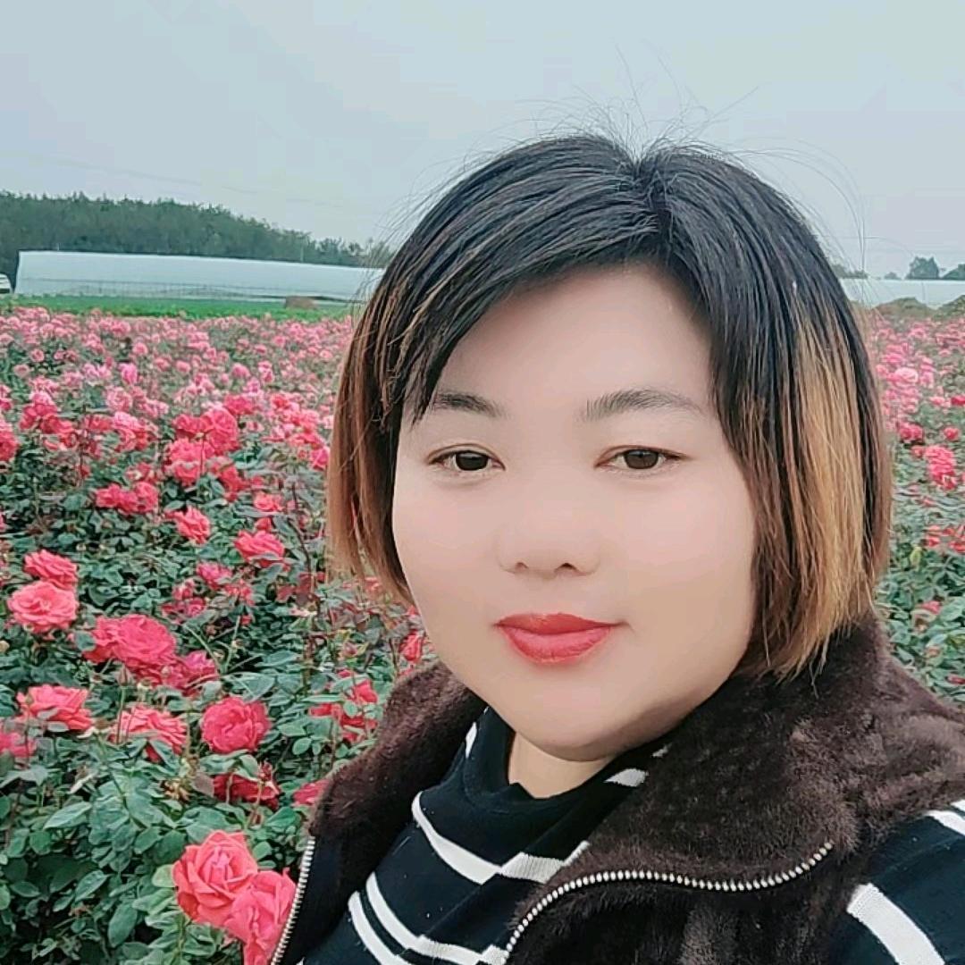 南阳月季姐