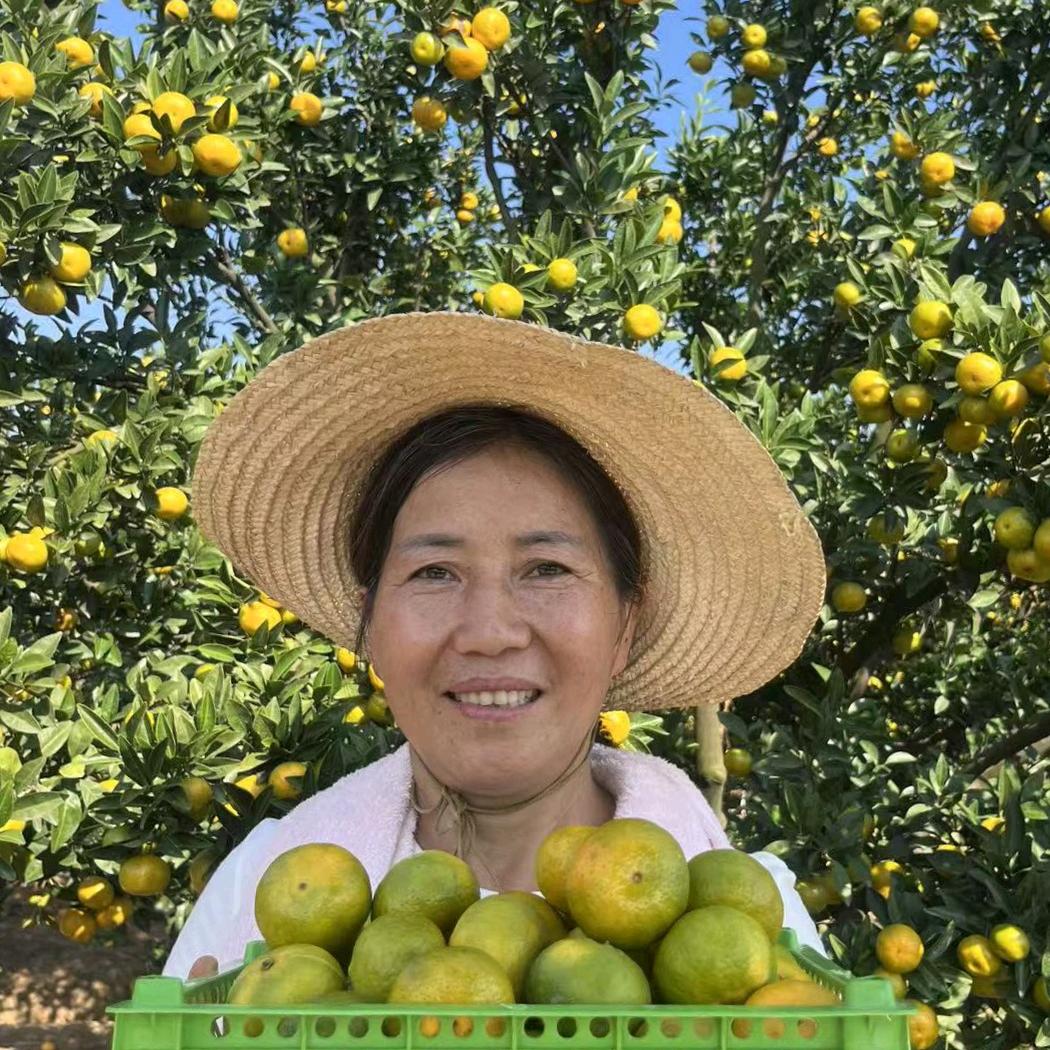 云姐有个大果园