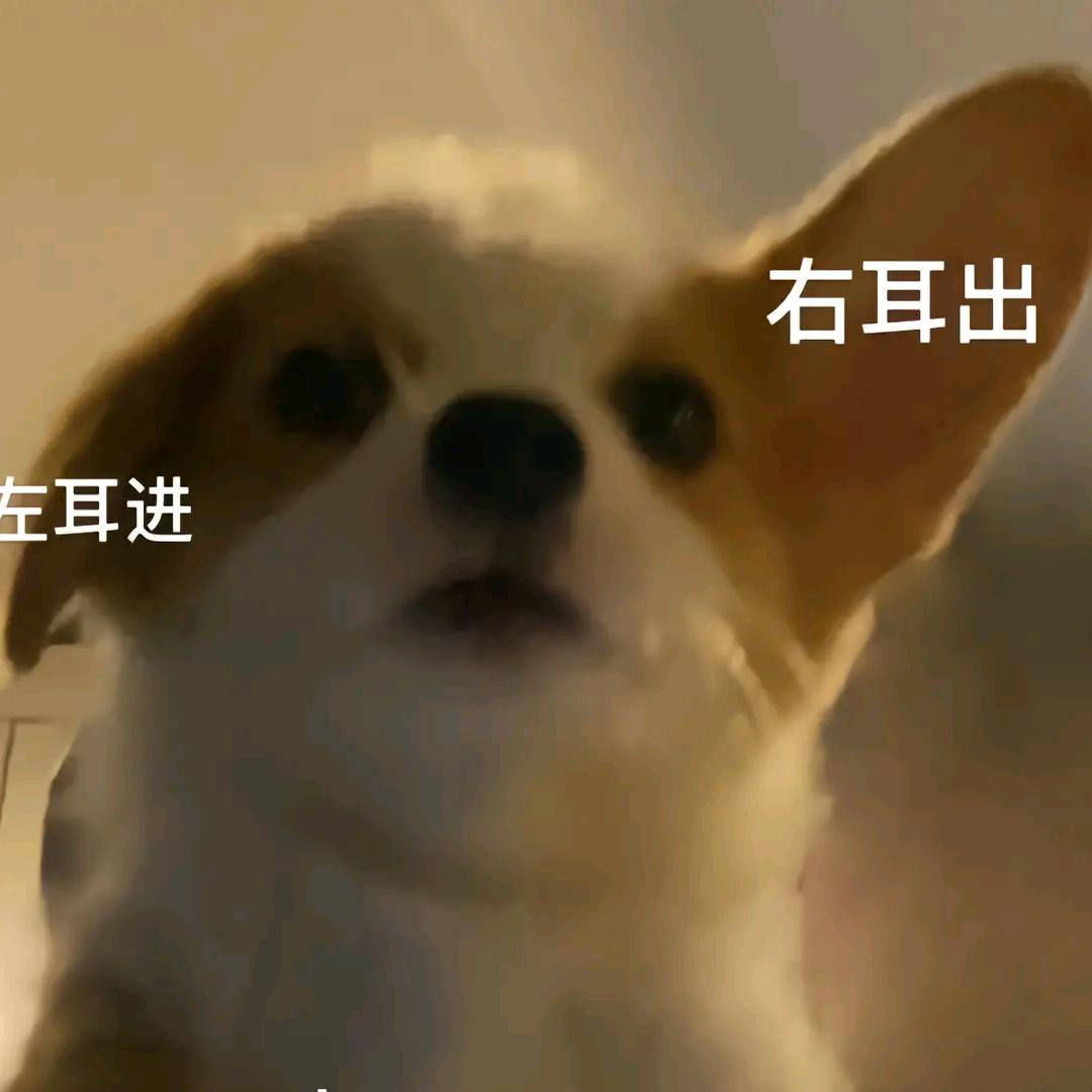 🥥🥥拿铁