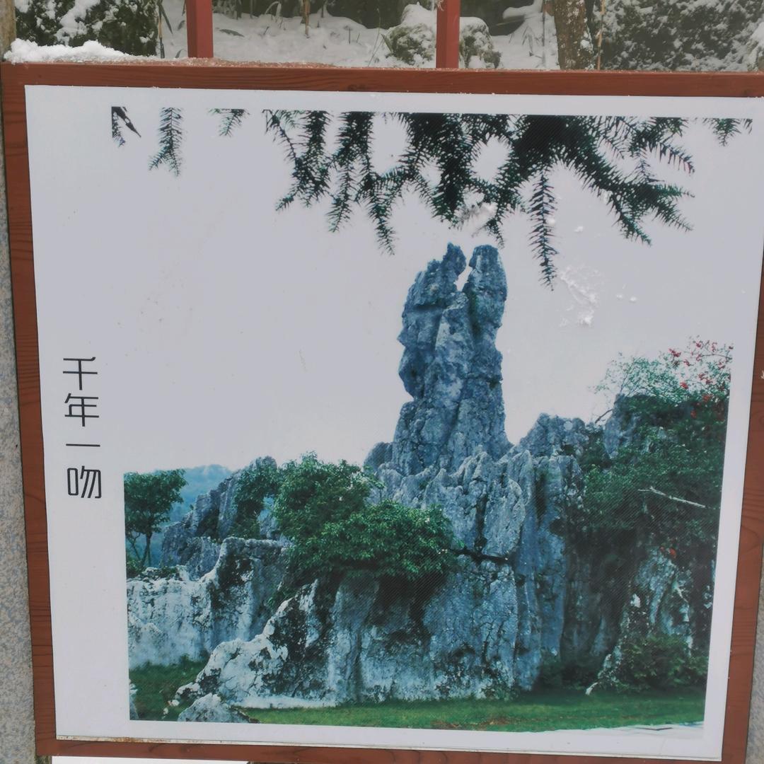 灼心