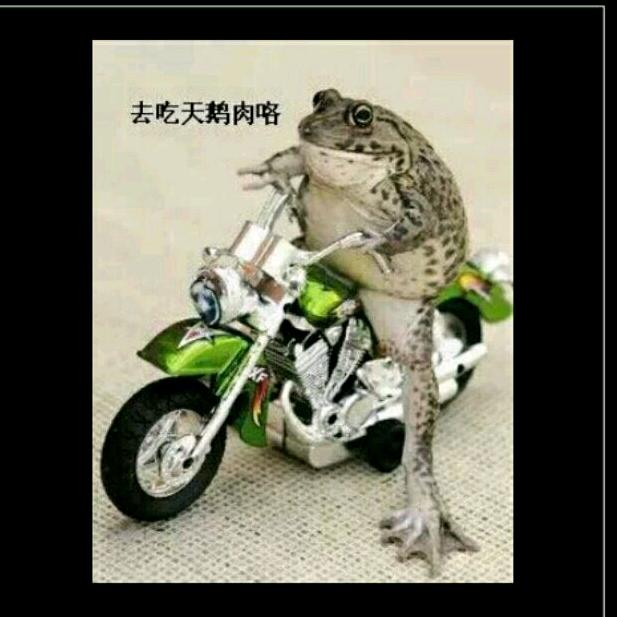糟糕，是心动啊