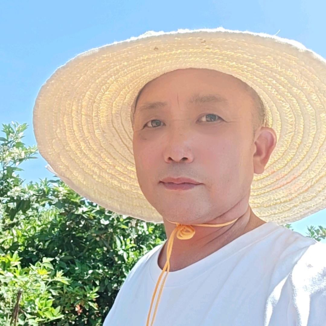 智刚