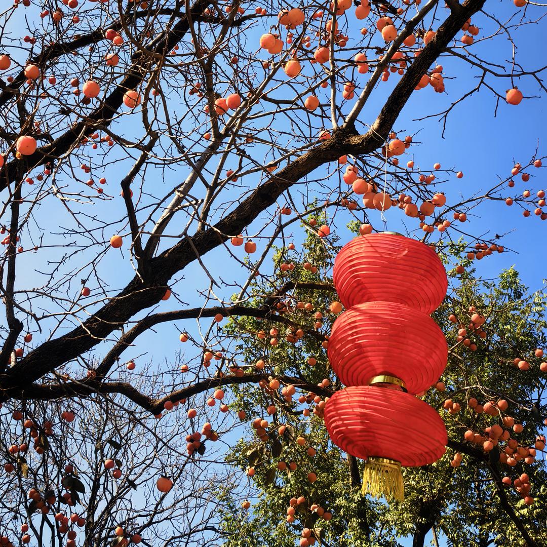 听雨沏茶
