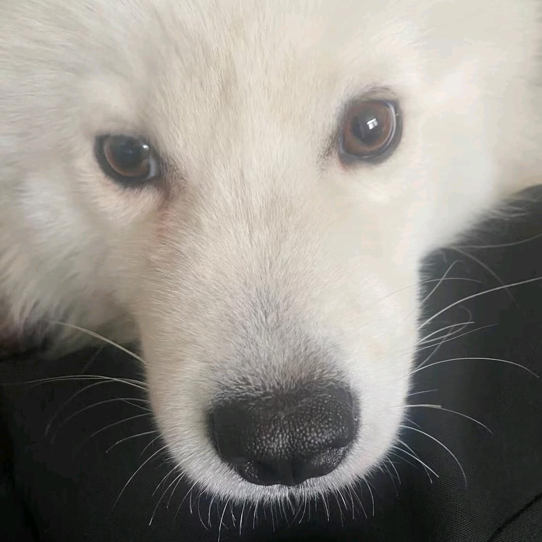 顺风蓝梓.