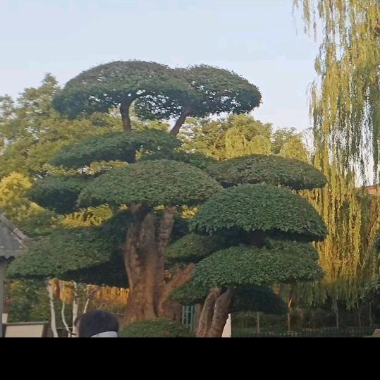 开心人生