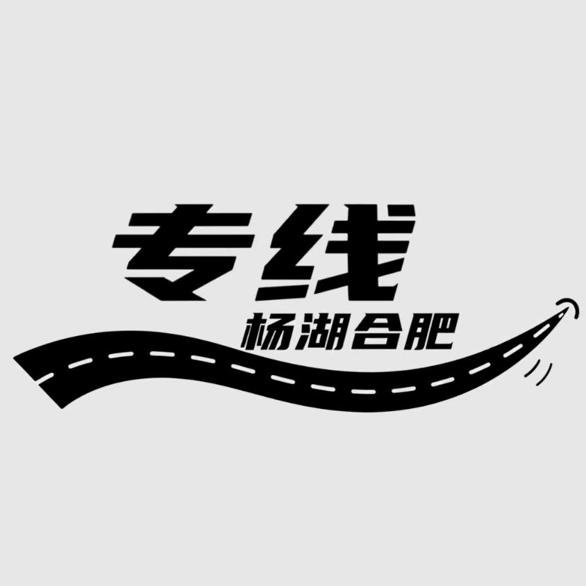 杨湖-合肥专线