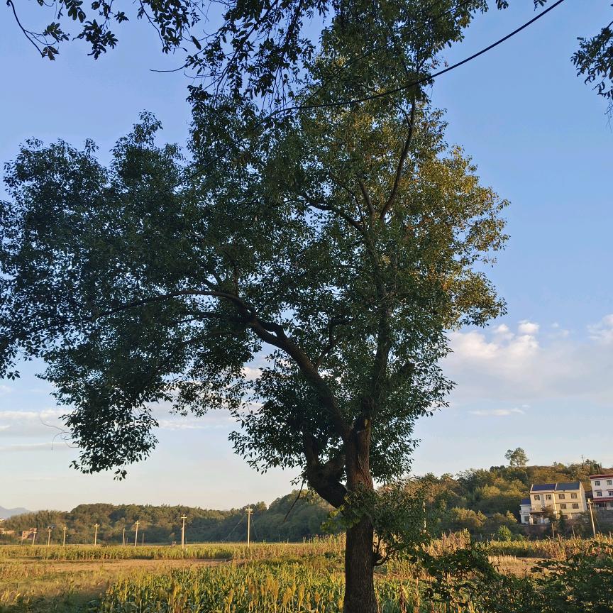 雪儿❤️👩‍❤️‍💋‍👨