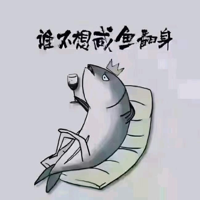 莫情•旅者