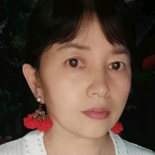 河南芳姐