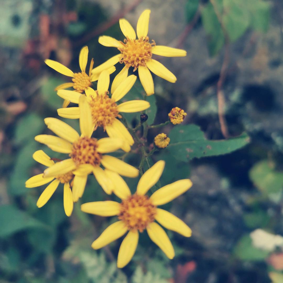 ～是晓张呀！(｡･ω･｡)ﾉ♡