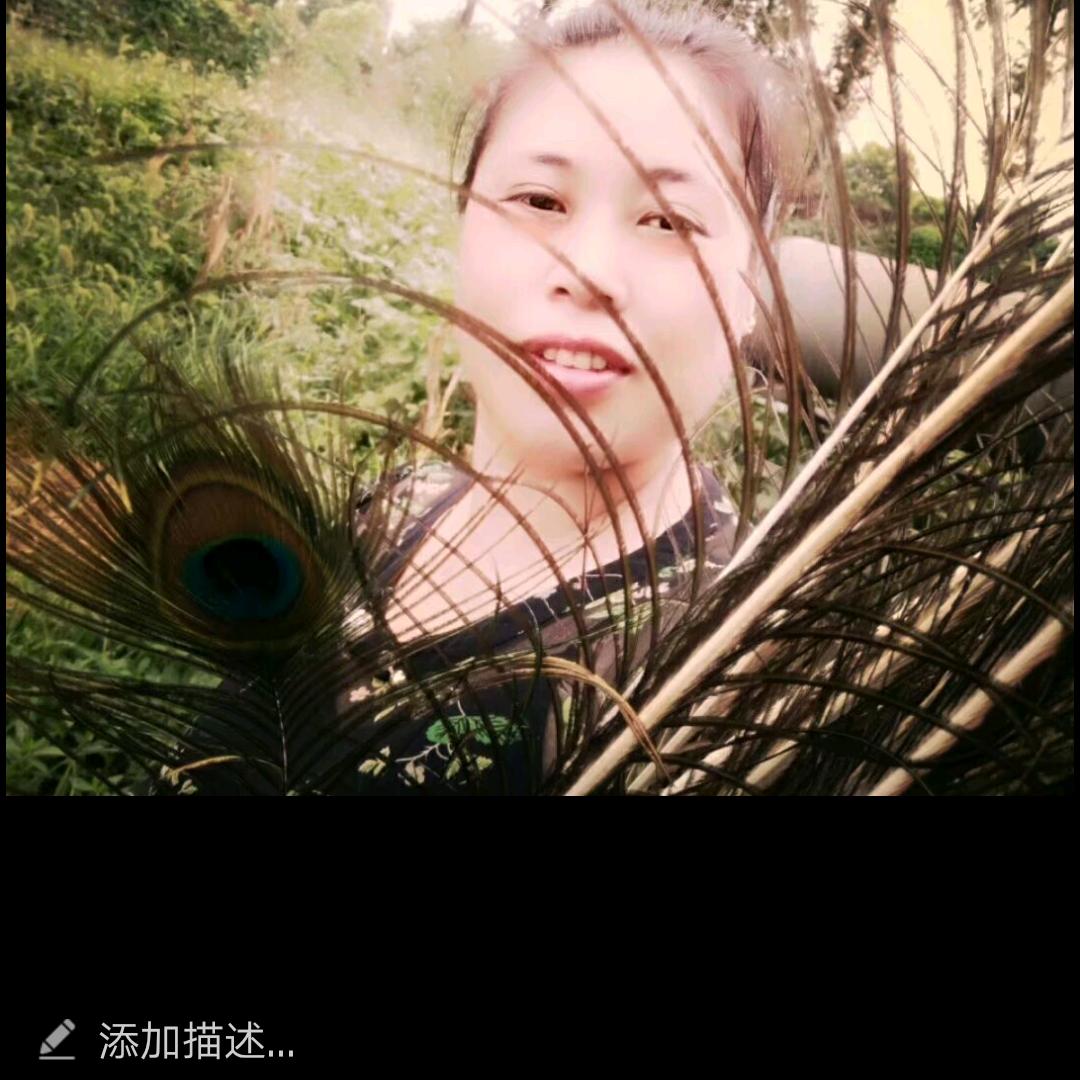 陈氏❤❤姑娘🌹🌹