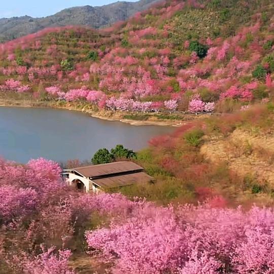 贰零贰陆的六月