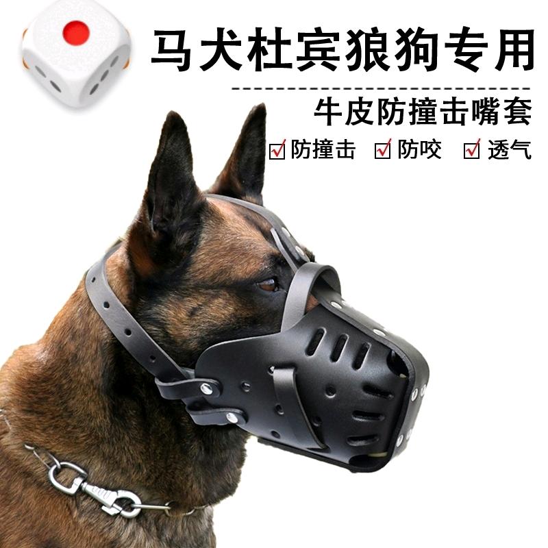 冠迪犬具