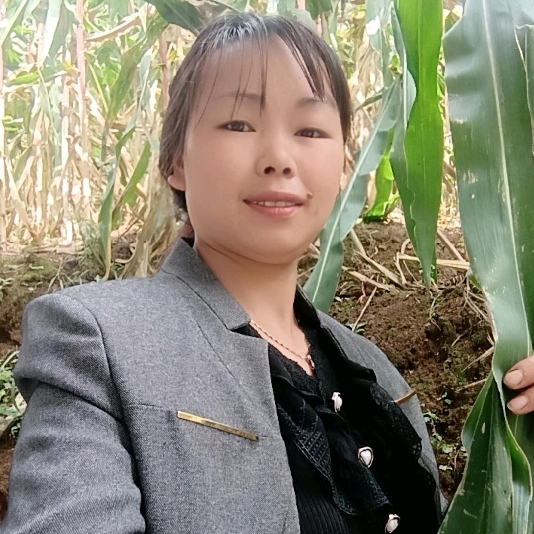 幸福妹 )（农业经