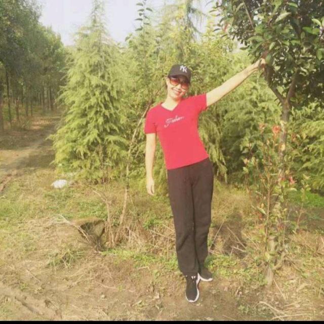 上蔡爱琴海鼓舞团