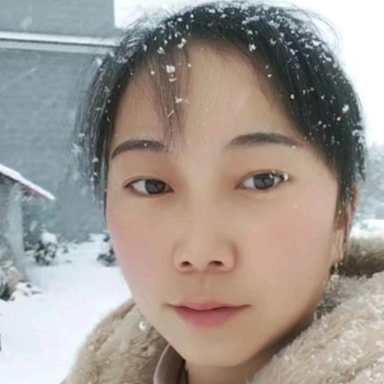 小虎记录生活