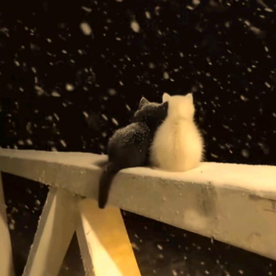 城南以南不再蓝