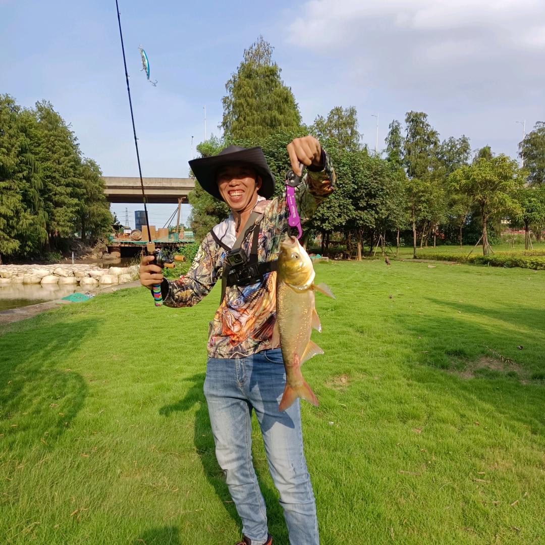 Lure🎣 前行