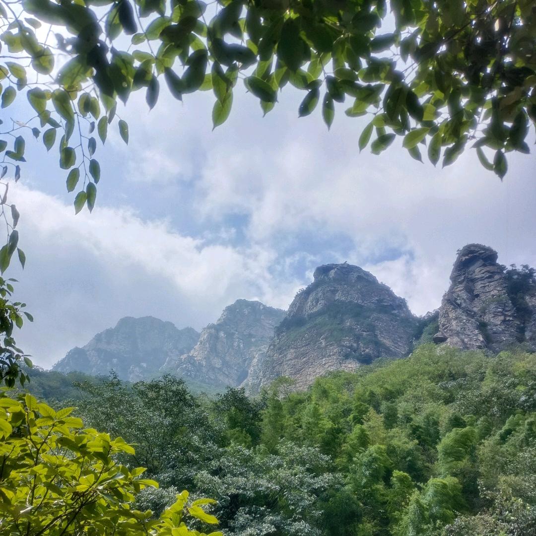 黑晶