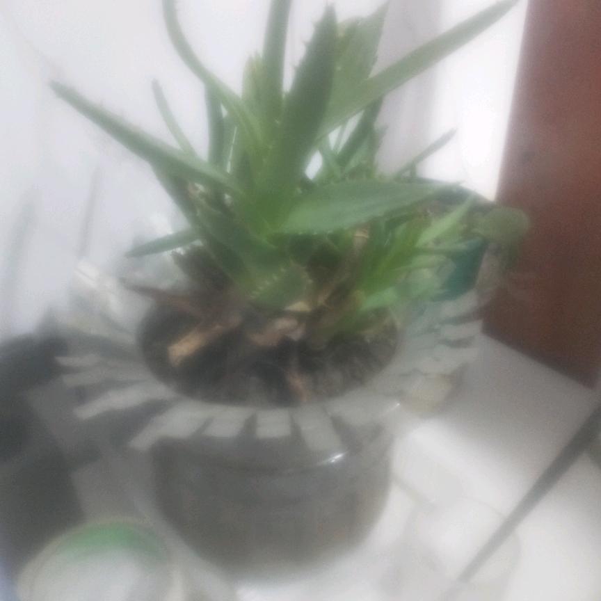 田家（👿👿👿👿👿😁😁?