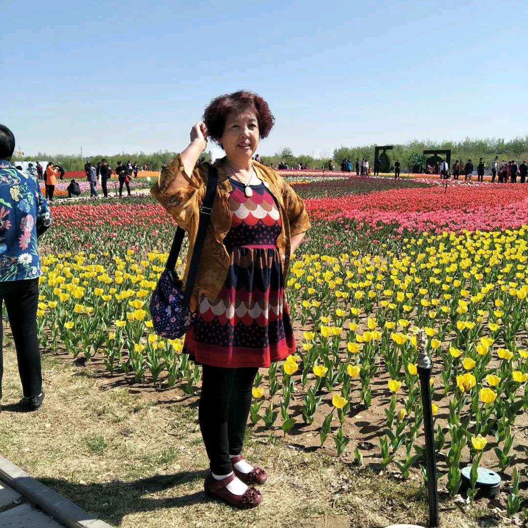 梦夕阳早上5.10原东北姐