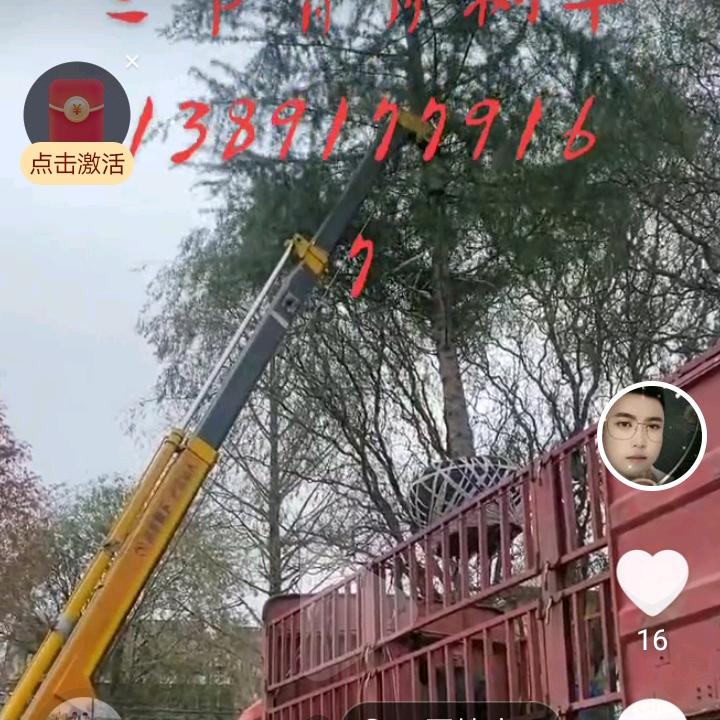 扶风三节臂背背车