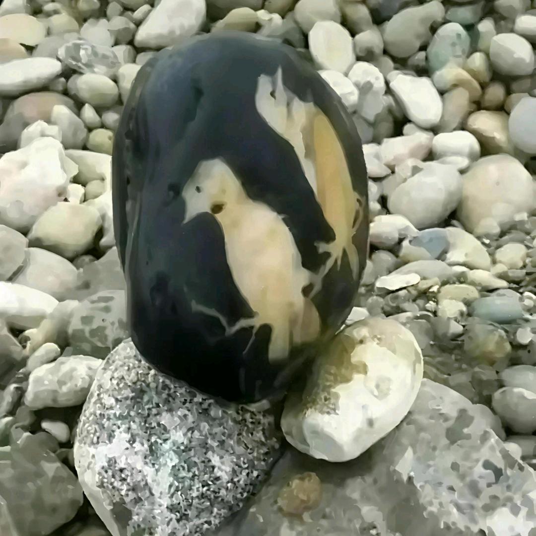 云松好物优选