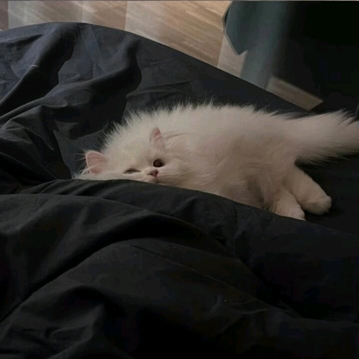 只想睡觉
