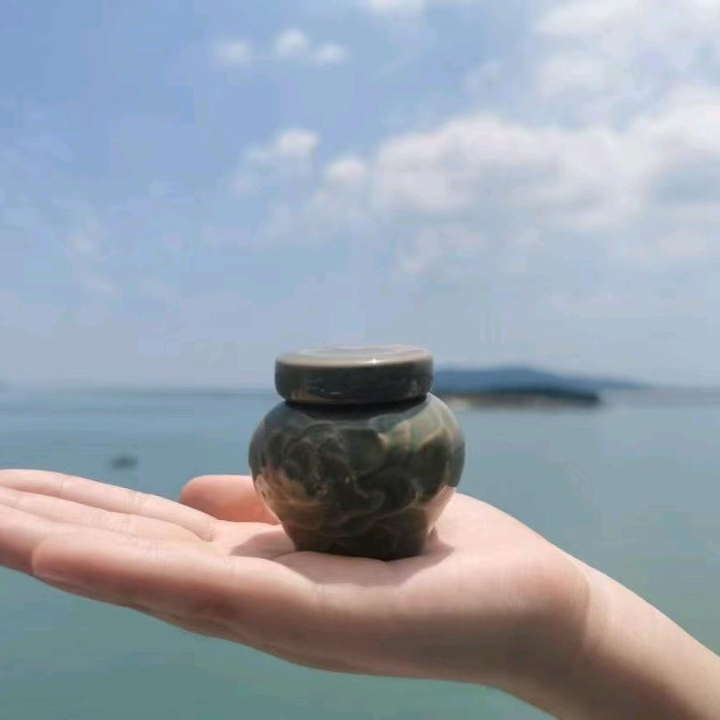 耀王艾明眼护