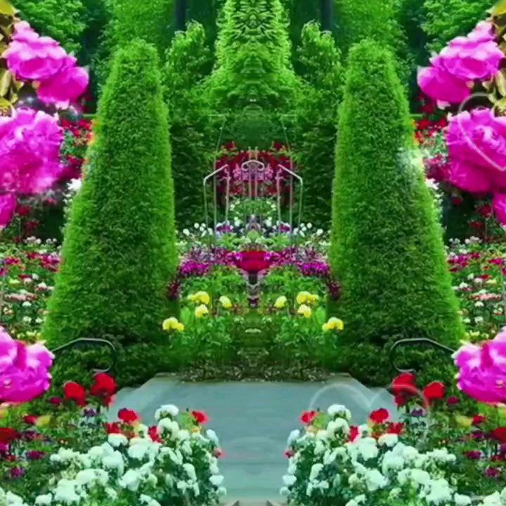 爱吃闷面的大叔叔，