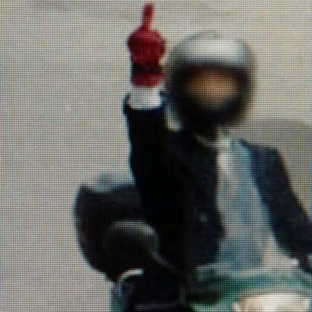 日落半林中☞