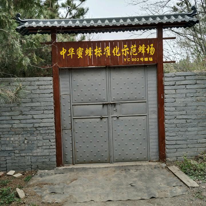 小强哥蜂蜜10870678595