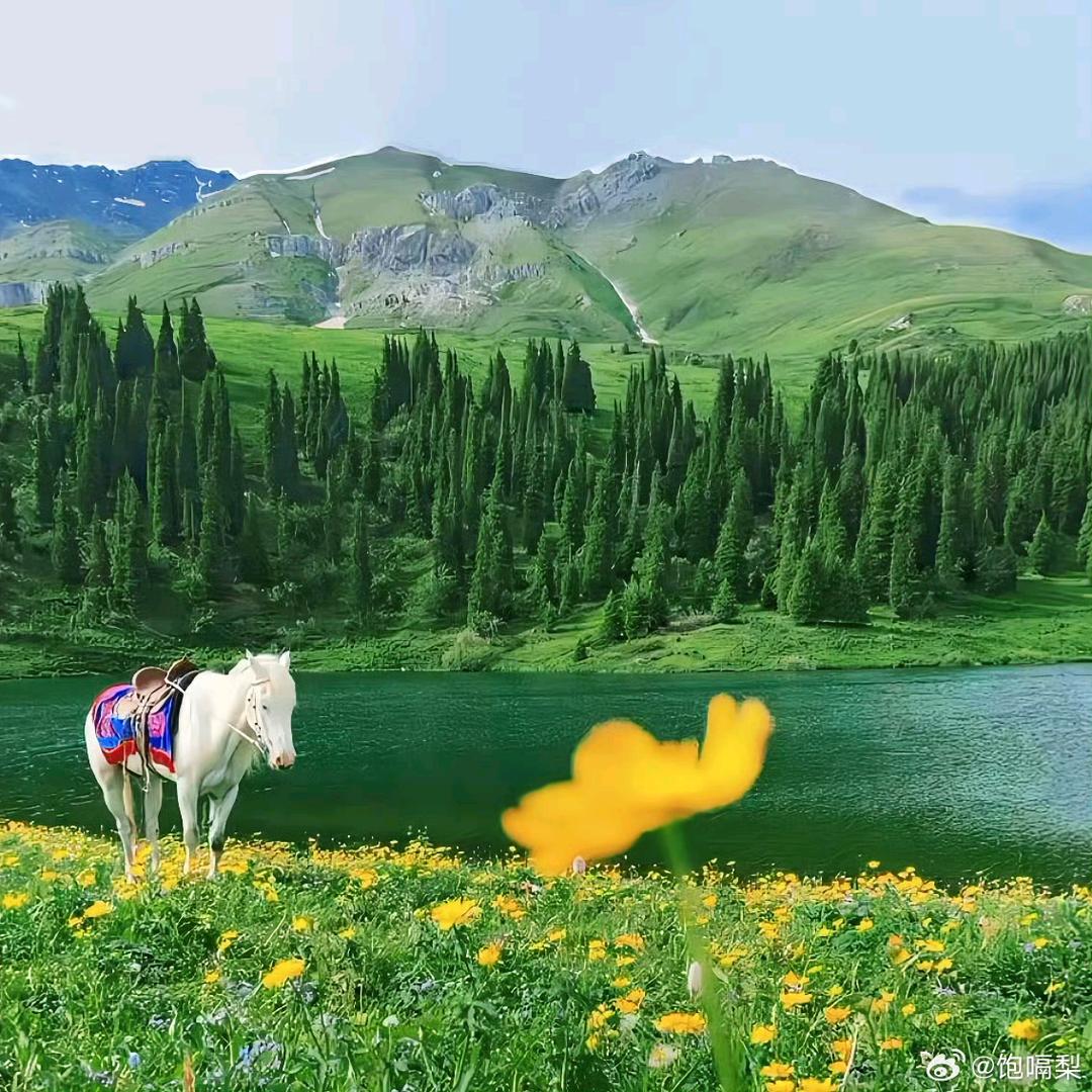 陈一一