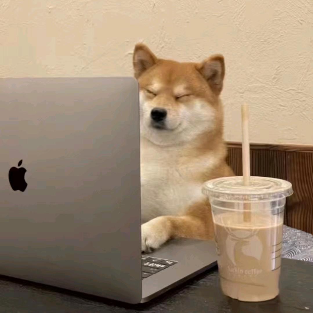 很困啊啊啊