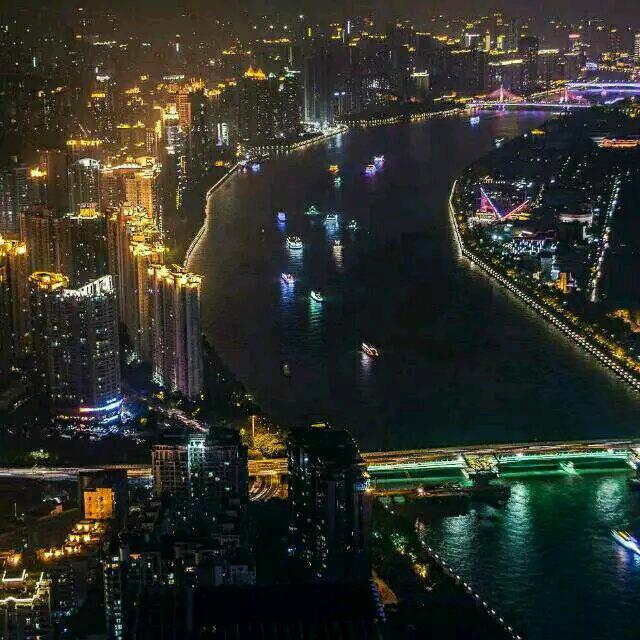 小狼狗