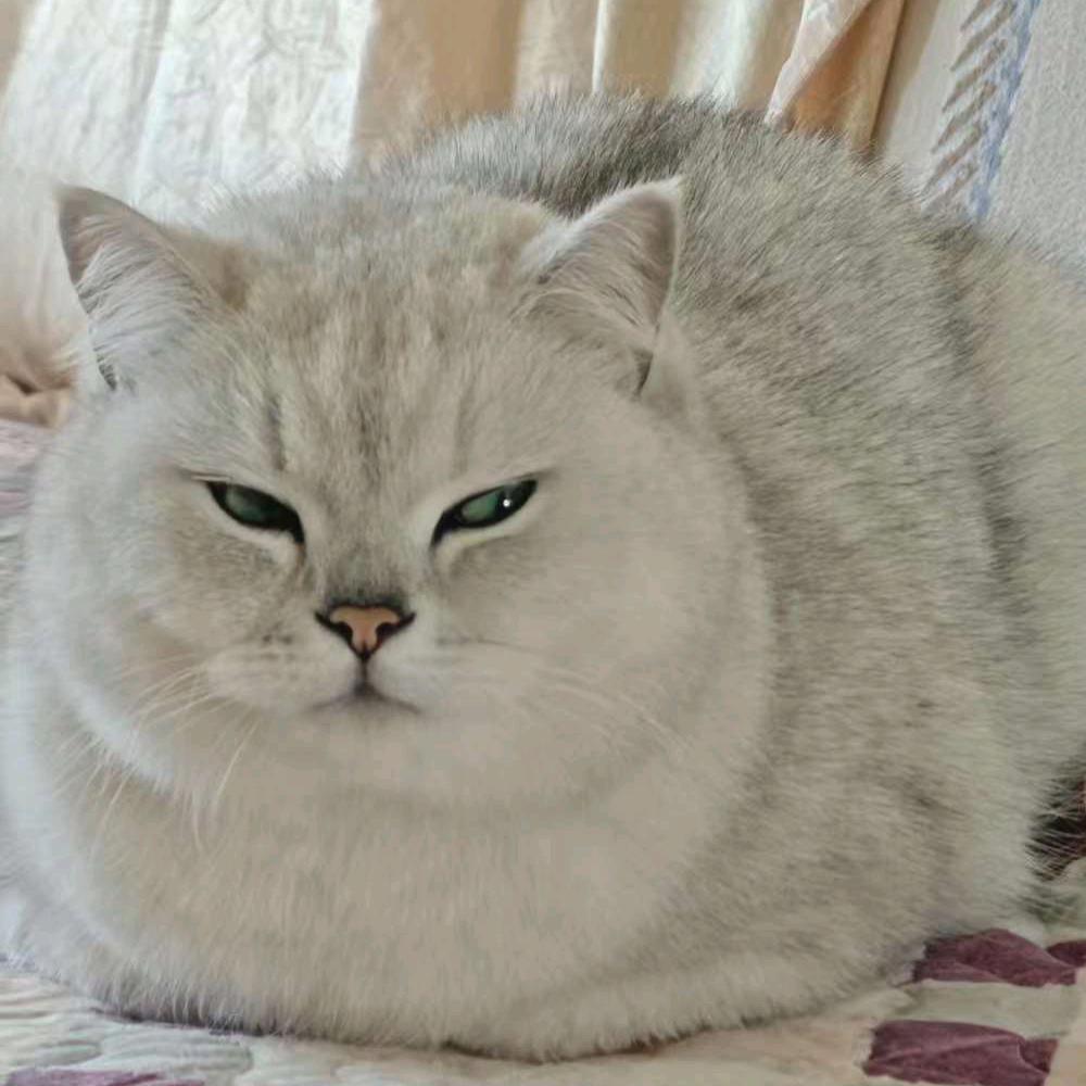 三月