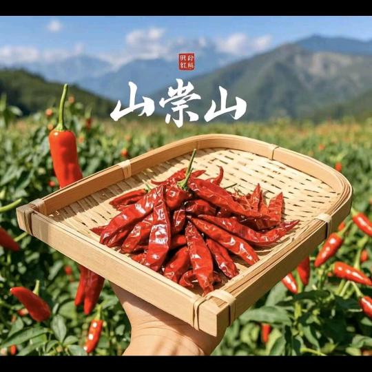 贵州山崇山农特产