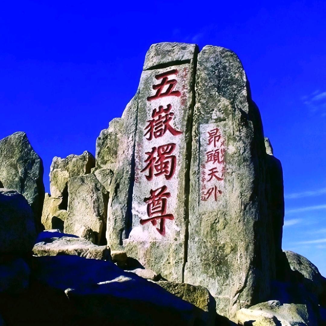 【凌绝独尊】独步一石！