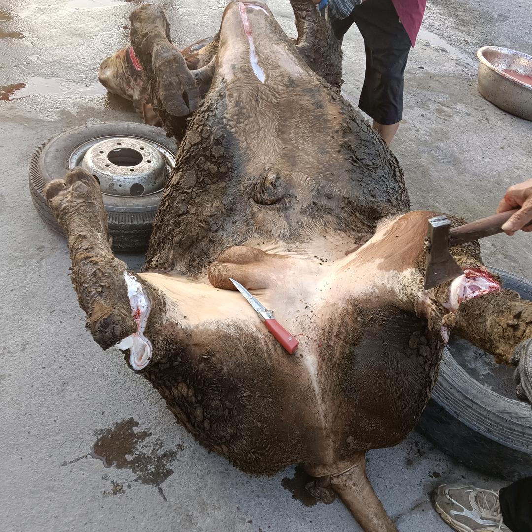 李宁生熟牛羊肉