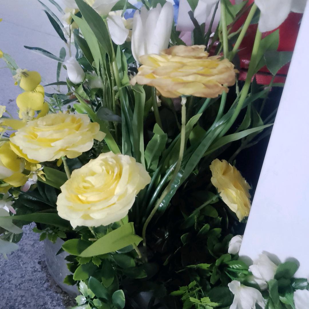 走一步算一步