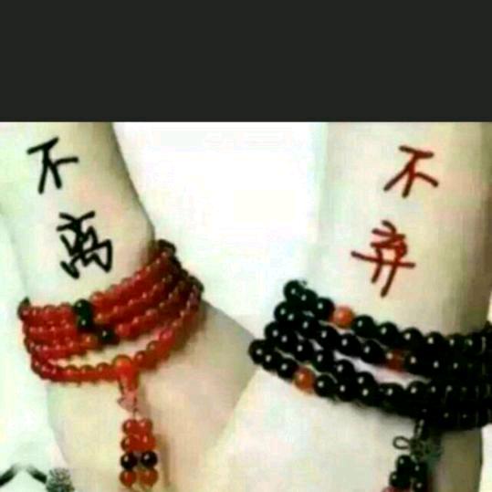 （天吴绝人之路）白日莫闲过，青春不在来
