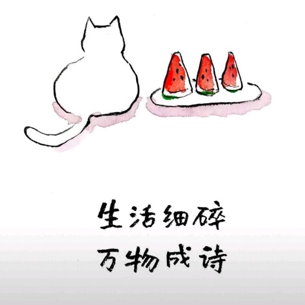 爱学中医的毛毛
