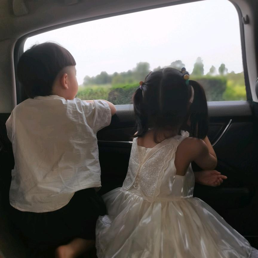 仙女（减肥版）