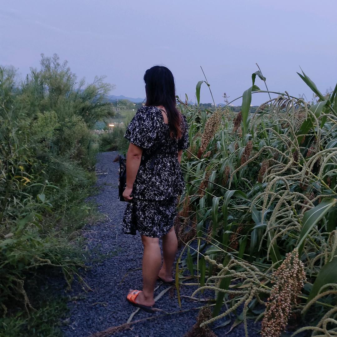 一笑倾城