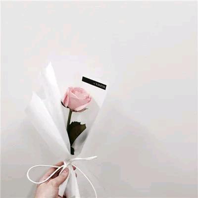 小 鱼