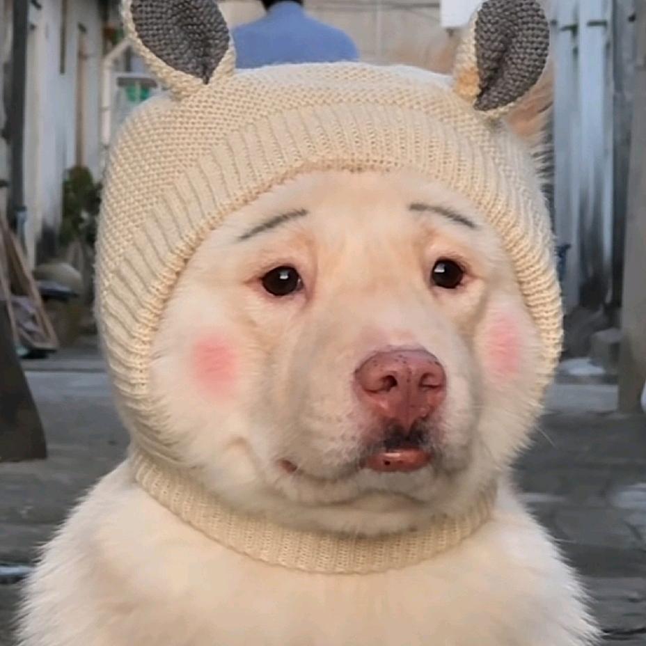 嗨浪服饰企业店